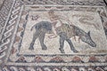 Deatil of mosaic in Ancient town Volubilis Royalty Free Stock Photo