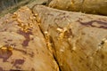 Debarked logs drying Royalty Free Stock Photo