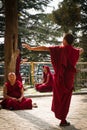 Debating Buddhist monks, Dalai Lama temple, McLeod Ganj, India