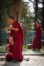 Debating Buddhist monks, Dalai Lama temple, McLeod Ganj, India