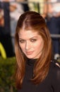 Debra Messing Royalty Free Stock Photo