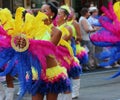 Debrecen Flower Carnival