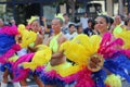 Debrecen Flower Carnival