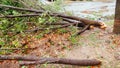 Debri blocking road during a typhoon