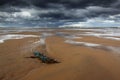 Debris, balmedie beach