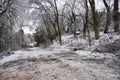 Debris during clean up from Ice Storm of 2013 Royalty Free Stock Photo