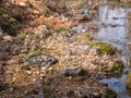 Debris in a creek after flooding