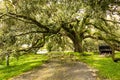 Debris left by hurricane irma at a horse farm in ocala Royalty Free Stock Photo