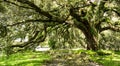 Debris left by hurricane irma at a horse farm in ocala Royalty Free Stock Photo