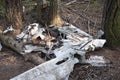 Debris at the site of a plane crash on Galiano island