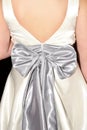 Debs dress Royalty Free Stock Photo