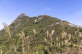 Sharp Peak or Nam She Tsim, is a hill inside Sai Kung East Country Park,Altitude 468 meters Royalty Free Stock Photo