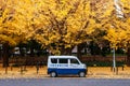 Cute van car under autumn yellow ginkgo tree - Jingu gaien avanue