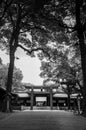 Wooden Torii gate of Meiji Jingu Shrine under big tree in Tokyo. Black and white image Royalty Free Stock Photo