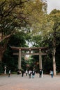 Wooden Torii gate of Meiji Jingu Shrine under big tree in Tokyo Royalty Free Stock Photo
