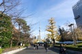 Dec 2, 2016: Tokyo Japan: park and buildings