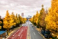 Tokyo yellow ginkgo tree along Gaien Higashi Dori street in autumn