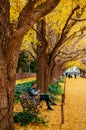 Tokyo yellow ginkgo tree street Jingu gaien avanue in autumn and people sit on bench