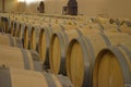 Wine barrels in storage at the Concha y Toro winery