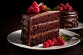 Decadent Chocolate Cake: Cocoa Richness & Raspberry Elegance