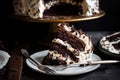 decadent chocolate cake, layered with fluffy marshmallow frosting and dark chocolate shavings