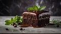 Indulgent Chocolate Brownie with Lush Ganache Drizzle and Fresh Mint Garnishment on Elegant Surface Royalty Free Stock Photo