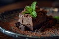 Decadent Chocolate Dessert on a Plate with Mint Garnish