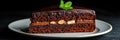Decadent Chocolate Slice Dessert Featuring Rich Layers of Chocolate Cake, Nuts, and Mint Garnish Royalty Free Stock Photo