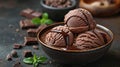decadent chocolate treats, a bowl of homemade chocolate ice cream drizzled with chocolate sauce: a tempting and
