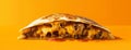 Decadent and Tempting Overstuffed Quesadilla Display Causing Hunger