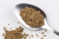 Decaf coffee powder on teaspoon Royalty Free Stock Photo