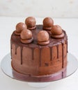 Decandent chocolate mud cake Royalty Free Stock Photo