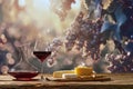 Decanter, red wine glass beside grape clusters with various cheeses on wooden board as appetizers. Wine tasting events Royalty Free Stock Photo