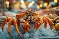 Decapoda arthropod, crab, perching on ice pile, a popular seafood in cuisine