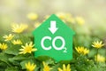 Decarbonization of Real Estate. Lower CO2 emissions and reduce carbon. Green House flower background Royalty Free Stock Photo