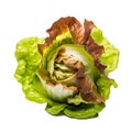 Decay of Freshness Rotten Butter Head Lettuce Illustrating Unhealthy Eating Habits Kitchen Spoiled Ingredient, Generative Ai