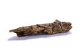 Decay Wood Stick Royalty Free Stock Photo