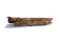 Decay Wood Stick Royalty Free Stock Photo