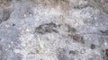 Decayed and cracked concrete wall with mildew stains. Grunge background texture