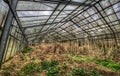 Decayed greenhouse