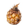 Decayed Rotten Pineapple Symbol of Food Waste Unhealthy Eating Habits, Generative Ai