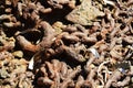 Decaying chain on the beach, abstract background Royalty Free Stock Photo