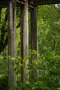Decaying concrete pillars of an old bridge surrounded by greenery Royalty Free Stock Photo