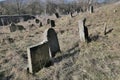 Decaying grave stones of various shapes on abandoned jewish cemetery near Trstin, western Slovakia