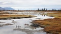Arctic Wolf Wetland: A Whistlerian Documentary Travel Photography