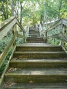 Decaying Stairs in the Woods