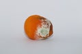 Decaying Tangerine On White Background