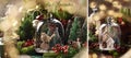 December banner with vintage style glass cloche and decors in Christmas mood Royalty Free Stock Photo