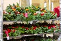 02 December 2022, Bath, England, UK. Christmas wreaths and decorations for sale on street shelves near shop