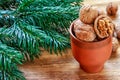 December is Christmas time.Walnuts ceramic glass, tree branches and decorations for the Christmas tree-snowflakes.Winter holiday.